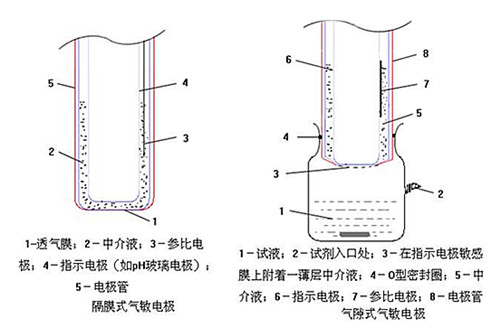 氣敏電極的結(jié)構(gòu)圖