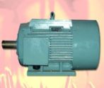 稀土永磁電機