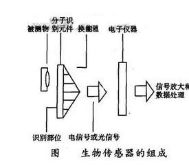 傳感器的組成